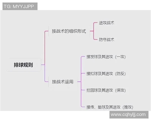 南京排球队的控制打法深度分析与战术解读